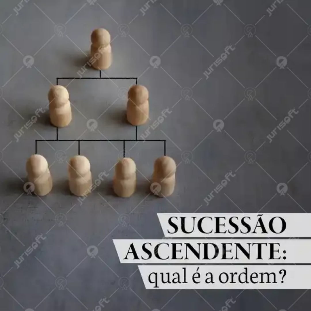 Entenda Como Funciona a Sucessão na Ausência de Descendentes | Marcelo ...